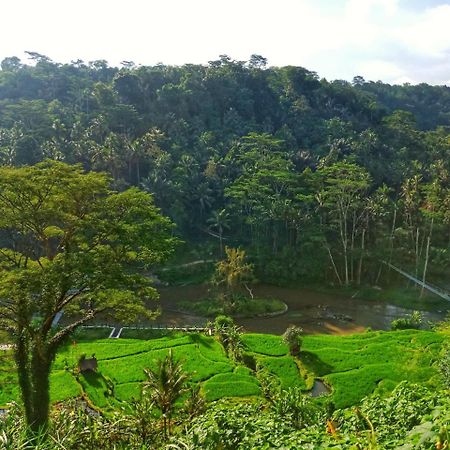 Puri Bunga Resort Ubud Dış mekan fotoğraf