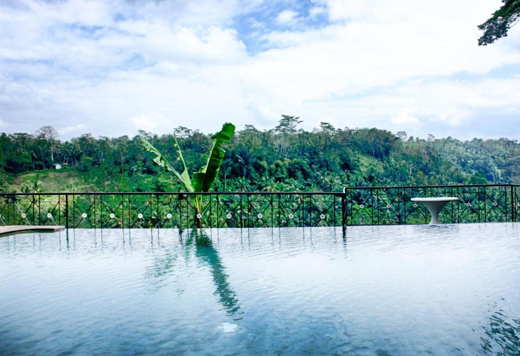 Puri Bunga Resort Ubud Oda fotoğraf