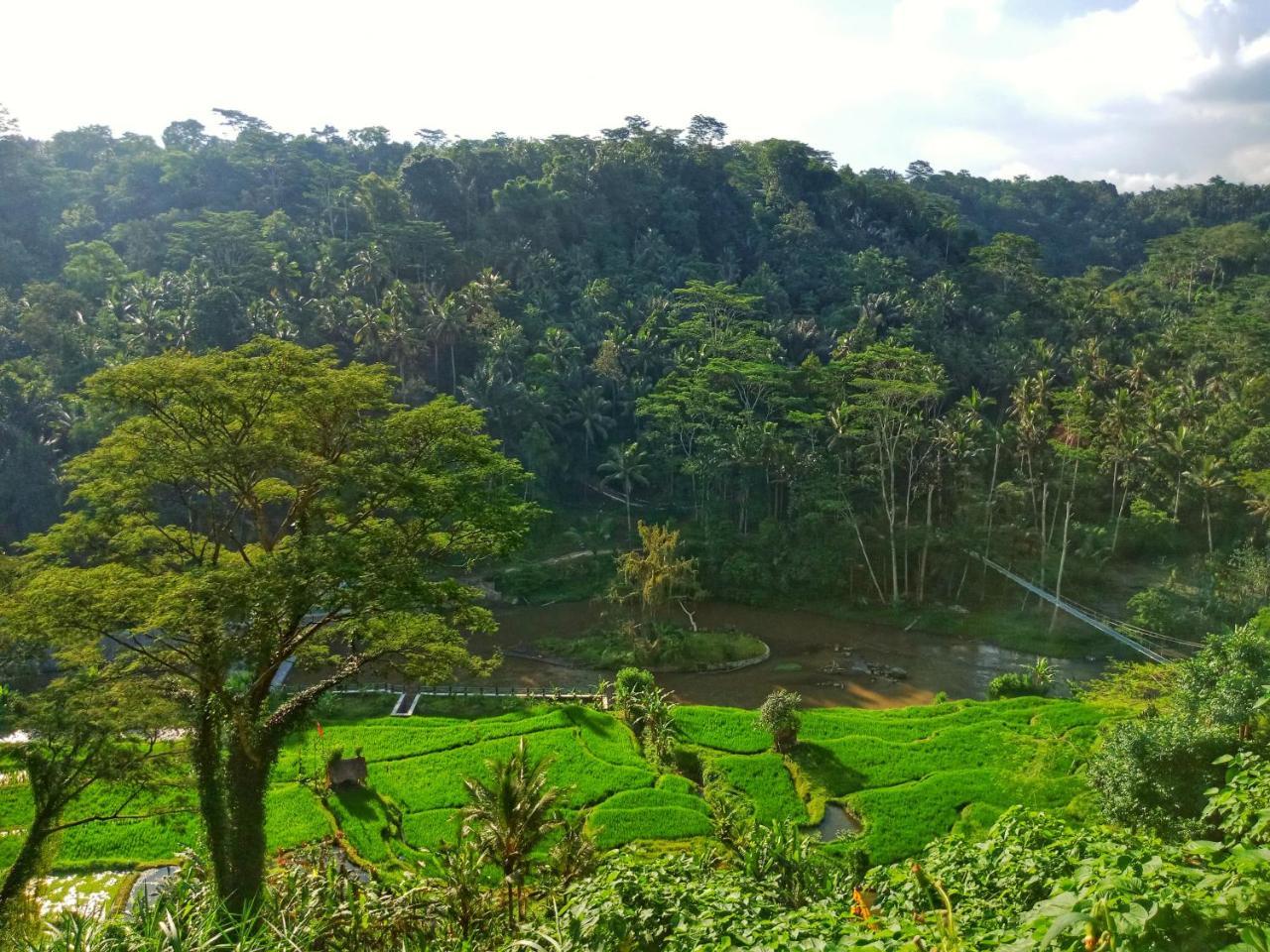 Puri Bunga Resort Ubud Dış mekan fotoğraf